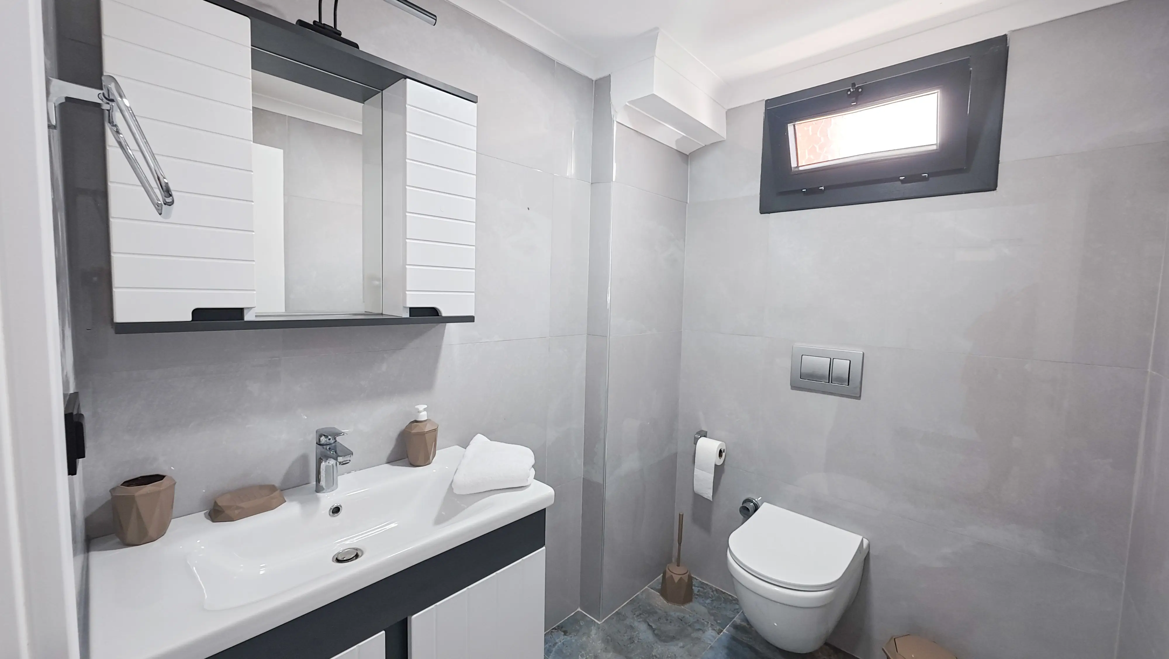 Salon ve yanındaki banyo alanı